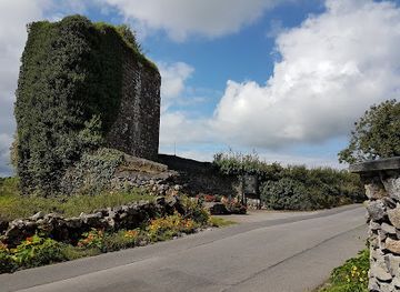 ireland/connacht/landmark/castlegar-castle