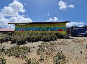 aruba/pos-chiquito/landmark/donkey-sanctuary-aruba