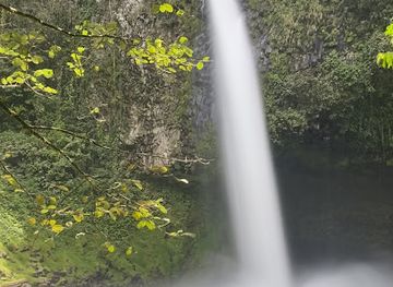 costa-rica/la-fortuna-waterfall/landmark/rancho-rainforest-explorers