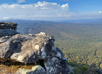 Reeds Lookout