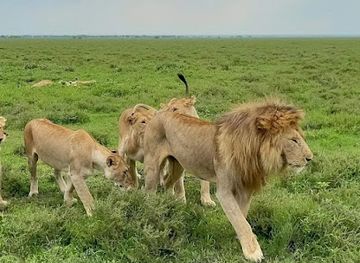 tanzania/mikumi-region/landmark/camp-lilac-mikumi-safaris-ltd