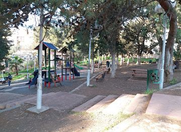 algeria/saoura-valley/landmark/forest-diar-el-afia