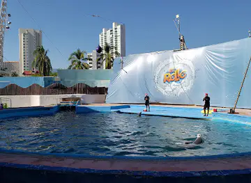 El Rollo Acapulco