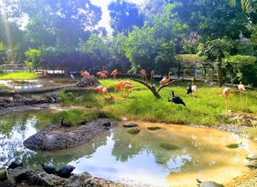 colombia/barranquilla/prado/landmark/zoologico-de-barranquilla