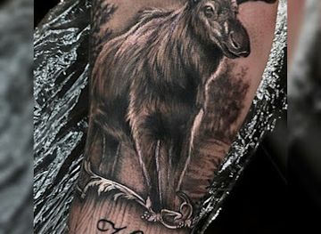 illinois/elgin/landmark/iron-wings-tattoo