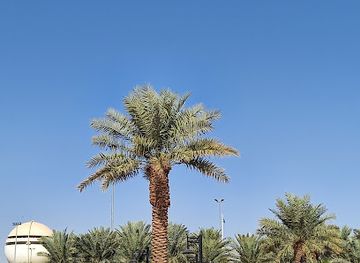 saudi-arabia/buraidah/landmark/al-oqailat-climate-park