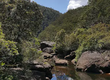 Red Hands Cave walking track - Blue Mountains National Park