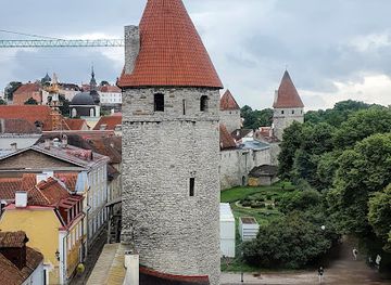 estonia/laane-county/landmark/eppingi-torn