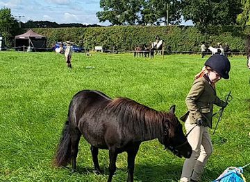 united-kingdom/yorkshire/landmark/tockwith-showfield
