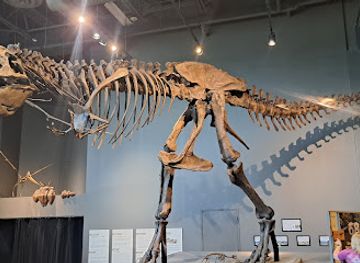 north-dakota/bismarck/landmark/state-historical-society-of-north-dakota