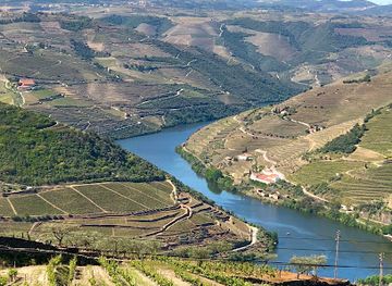 portugal/douro-valley/landmark/douro-vintage-tours