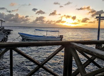 curacao/piscadera/landmark/tomatoes-pizza-curacao