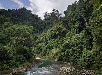 indonesia/bukit-lawang/landmark/bukit-lawang-travel