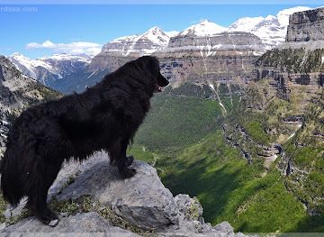 spain/ordesa-y-monte-perdido-national-park/landmark/ordesa-net