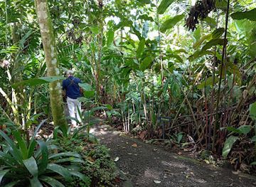 costa-rica/la-fortuna/landmark/sloth-tour-la-fortuna