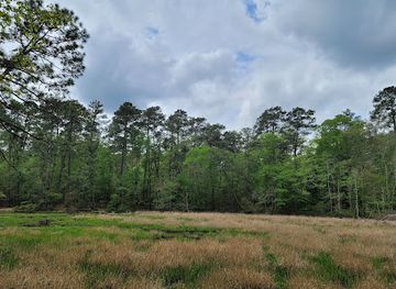 texas/piney-woods/landmark/sam-houston-national-forest-double-lake-recreation-area