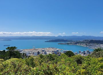 new-zealand/west-coast/landmark/te-ahumairangi-hill-lookout