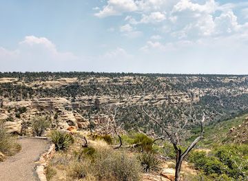 colorado/western-slope/landmark/step-house