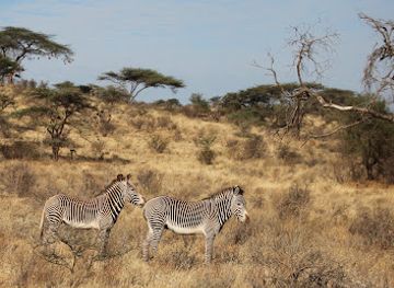 kenya/northern-frontier-district/landmark/samburu-national-park