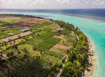 maldives/thoddoo/landmark/thoddoo-sunrise-tourist-beach