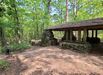 texas/piney-woods/landmark/caddo-lake-state-park