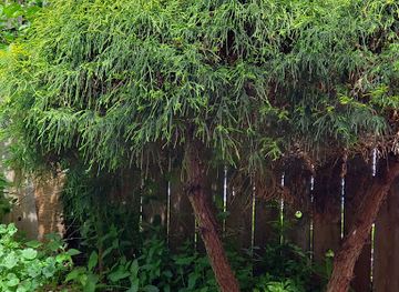 idaho/lewiston/landmark/jollymore-s