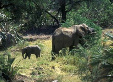 cote-d-ivoire/tai-national-park/landmark/marahoue-national-park