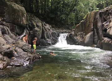 dominica/indian-river/landmark/chaudiere-pool