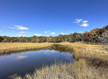 rhode-island/trustom-pond-national-wildlife-refuge/landmark/audubon-touisset-marsh-wildlife-refuge