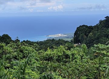 jamaica/cornwall-county/landmark/stush-in-the-bush