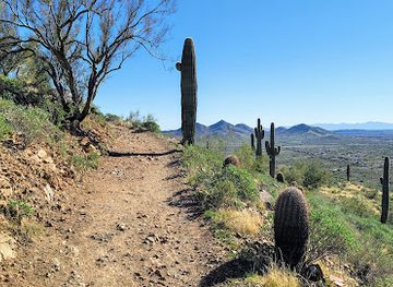 arizona/sonoran-desert/landmark/sonoran-preserve-desert-vista-trailhead
