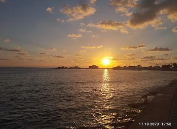 cyprus/paphos-forest/landmark/coastal-boardwalk
