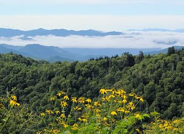 Newfound Gap