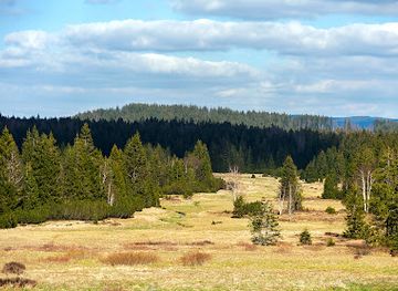 czechia/sumava-national-park/landmark/bukova-slat