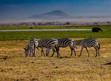 kenya/amboseli-national-park/landmark/amboseli-np-kimana-gate
