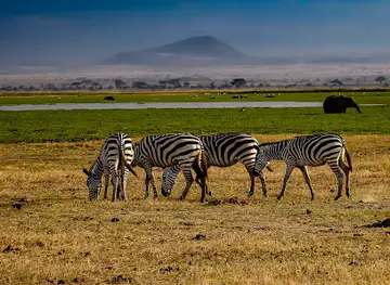 Amboseli NP Kimana Gate