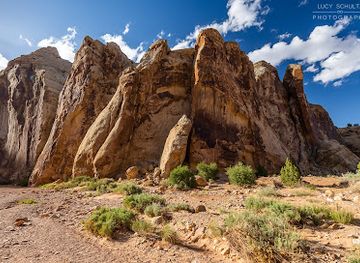 utah/torrey/landmark/grand-wash-trailhead
