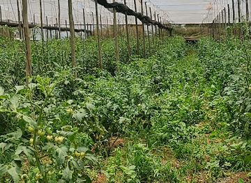 brazil/foz-do-iguacu/landmark/agrovila-foz-do-iguacu
