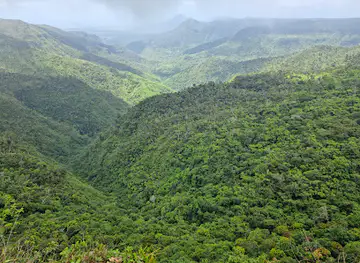 Gorges Viewpoint