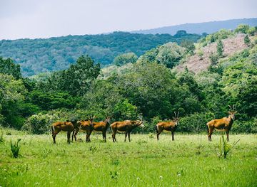 kenya/tsavo-national-park/landmark/shimba-hills-national-reserve