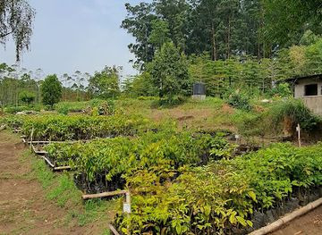 uganda/fort-portal/landmark/tooro-botanical-gardens