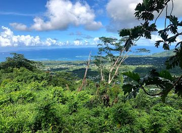 samoa/apia/landmark/robert-louis-stevenson-tomb