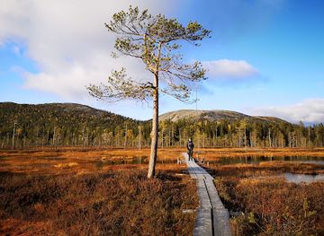 finland/karhunkierros-trail/landmark/pyha-luosto-national-park