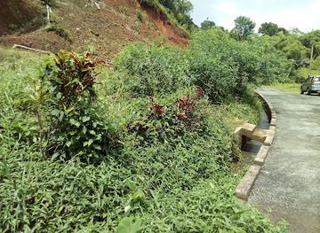 grenada/saint-john/landmark/clozier-pre-school-resource-center