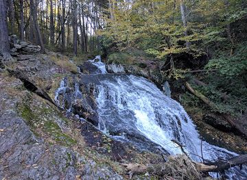 new-jersey/appalachian-trail/landmark/tillman-ravine