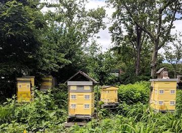 new-york/new-york-city/landmark/peter-minuit-plz