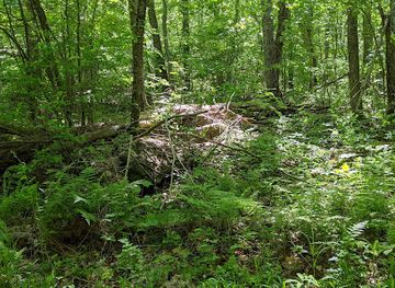 connecticut/mashantucket/landmark/colonel-ledyard-park