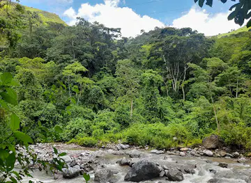 Cuevas de Talgua