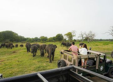 sri-lanka/dambulla/landmark/sri-lanka-jeep-safari