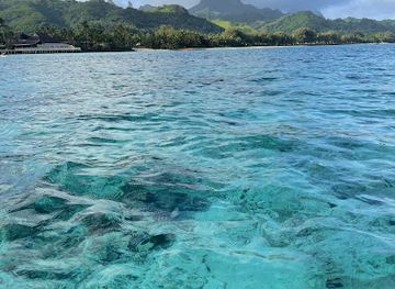 cook-islands/nikao/landmark/aroa-beach